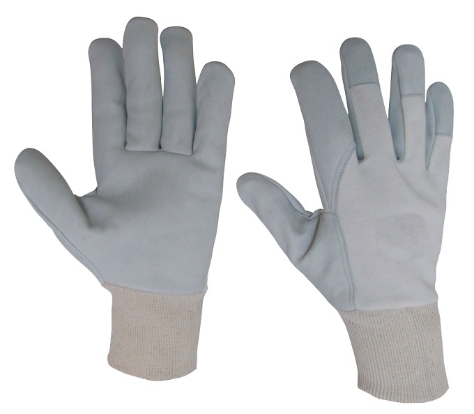 CD602 CD602 - CAPRETTO E DORSO IN COTONE - immagine 1